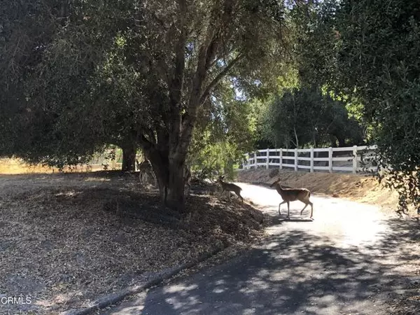 Solvang, CA 93463,781 Fredensborg Canyon