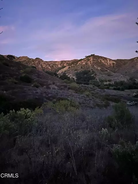 Santa Paula, CA 93060,8221 Wheeler Canyon