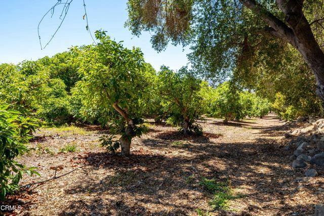 3190 Thacher -B, Ojai, CA 93023