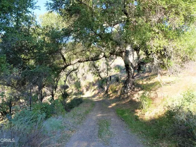 Ojai, CA 93023,0 Sulphur Mountain