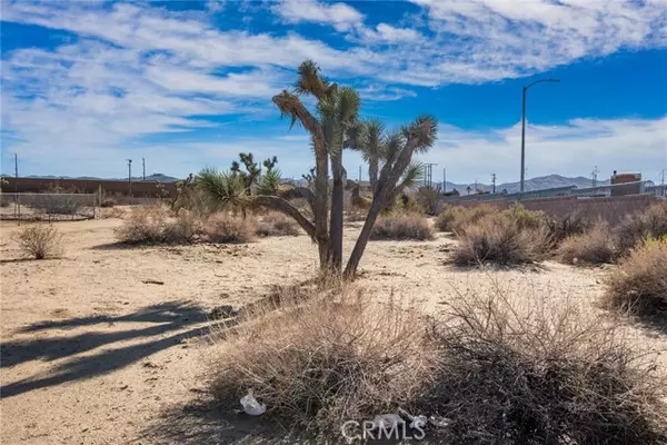 Yucca Valley, CA 92284,59520107 Encelia