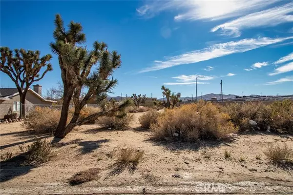 Yucca Valley, CA 92284,59520107 Encelia