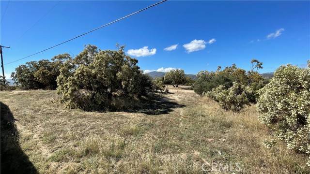 Anza, CA 92539,59880 Anzanita Lane