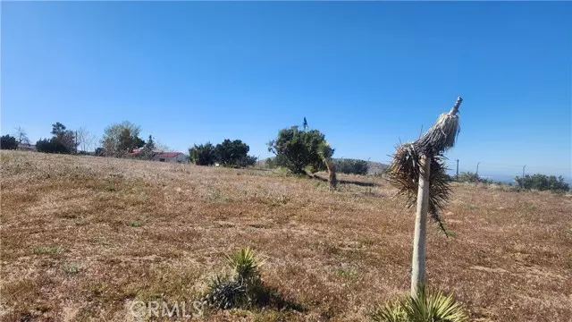 0 Longview, Juniper Hills, CA 93553