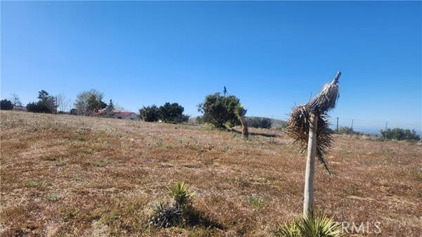 0 Longview, Juniper Hills, CA 93553