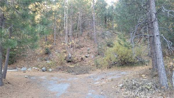 Crestline, CA 92325,0 Water