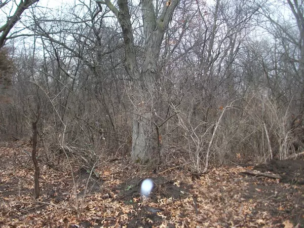 Whitewater, WI 53190,Lt4 COUNTY ROAD N