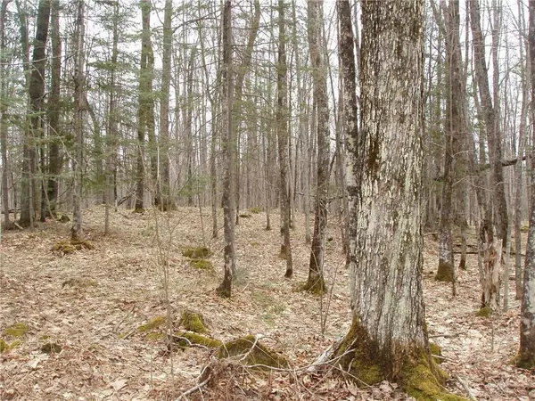 Glidden, WI 54527,On Wilde Road