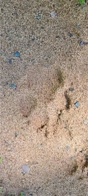 Clam Lake, WI 54517,23259 Segal Road