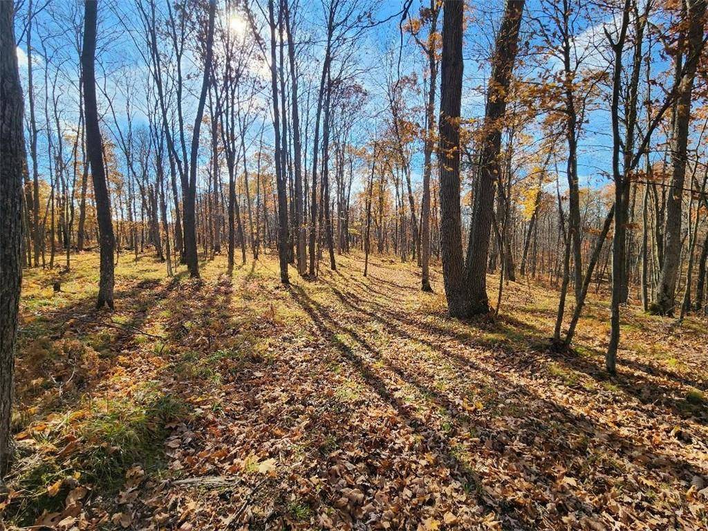 XX Timberland Road, Barronett, WI 54813
