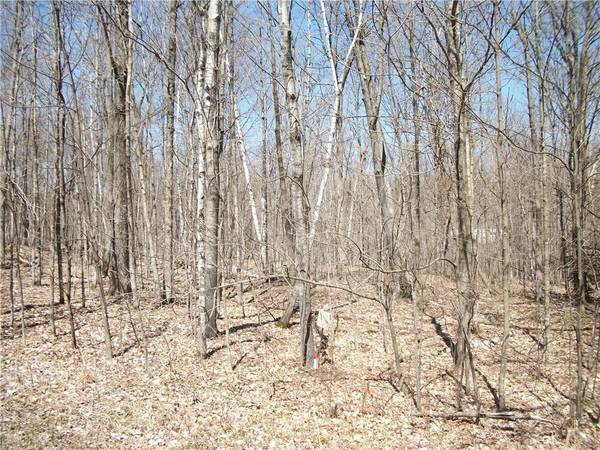 LOTS #99 & #100 WOODS (SPRUCE) Avenue, Birchwood, WI 54817