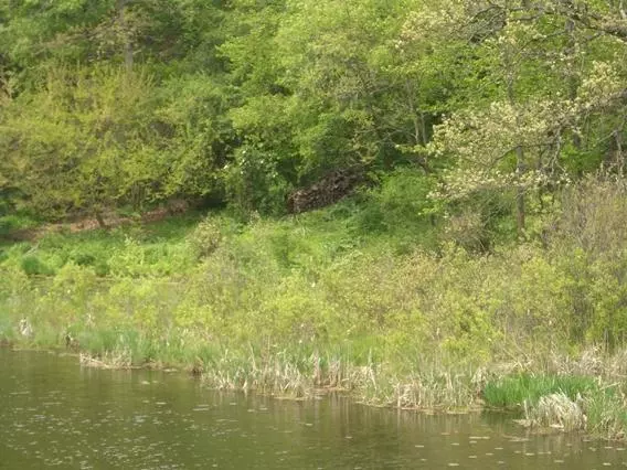 Elkhorn, WI 53121,Lt119 North Dr