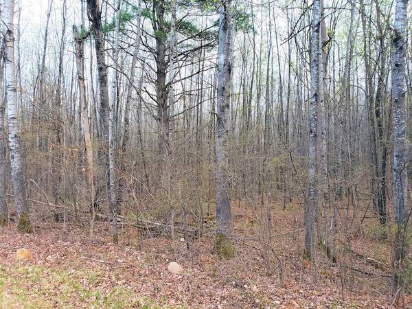 Lot 1 W Nelson Lake Road, Hayward, WI 54843