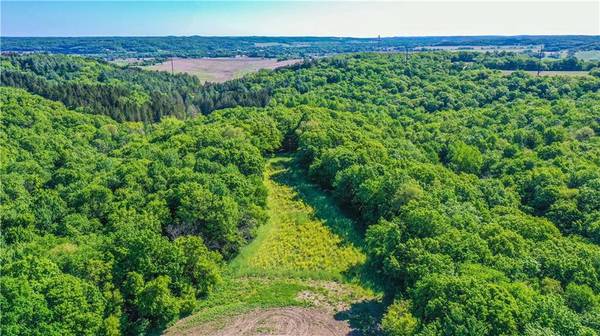 N29724 Brekke Ridge Rd, Blair, WI 54616