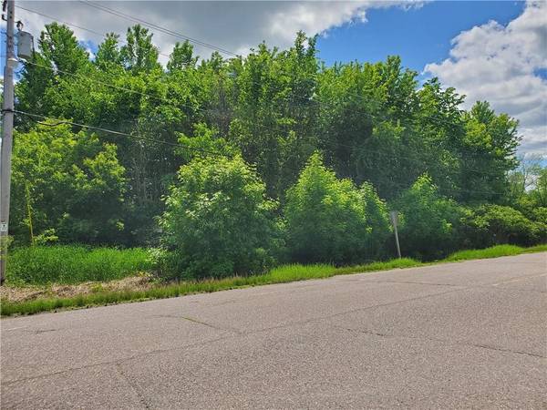 Lot Chippewa Street, Cadott, WI 54727