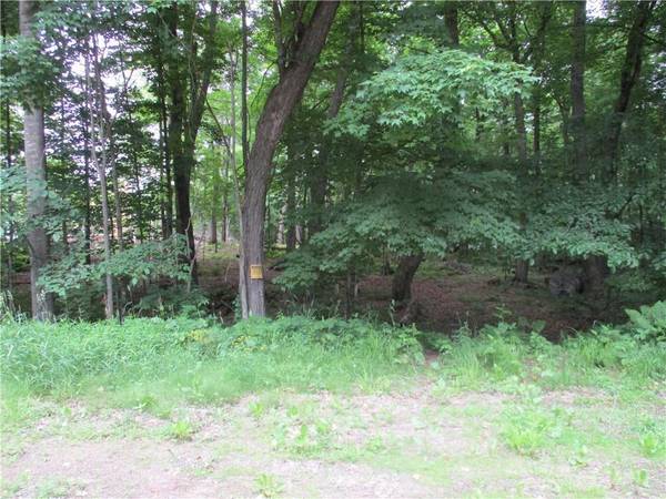 LOTS #77 & 78 HIDDEN COVE CT (29 7/8 AVE Avenue, Birchwood, WI 54817