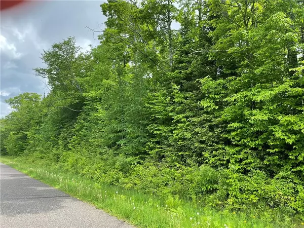 Butternut, WI 54514,On Bear Lake Road