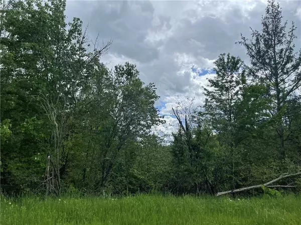 Butternut, WI 54514,On Bear Lake Road