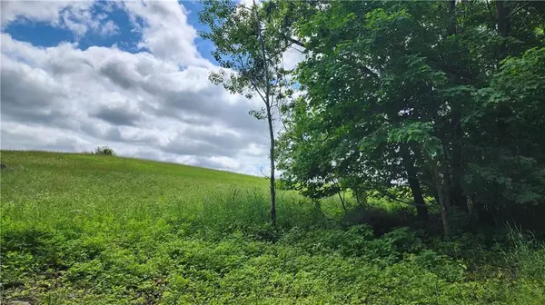 Lot 10 270th Street, Boyceville, WI 54725