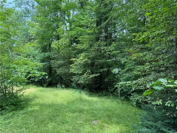 5217 Tower Road, Winter, WI 54896