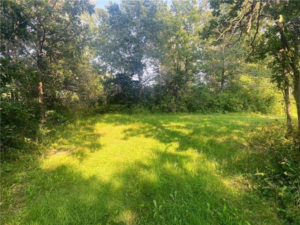 Lot 2 State Hwy 77, Danbury, WI 54830