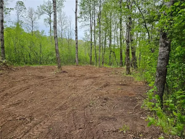 Winter, WI 54896,1.68 Acres On West Lane