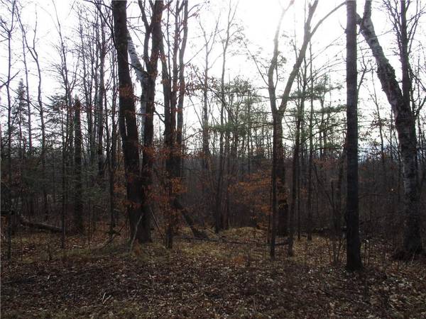 LOT #1 INDEPENDENCE (29 9/16 Ave) Avenue,  Birchwood,  WI 54817