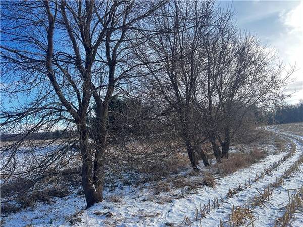 Lot 4 105th Street, Amery, WI 54001