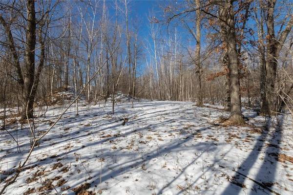 Lot 12 133rd Street, Amery, WI 54001