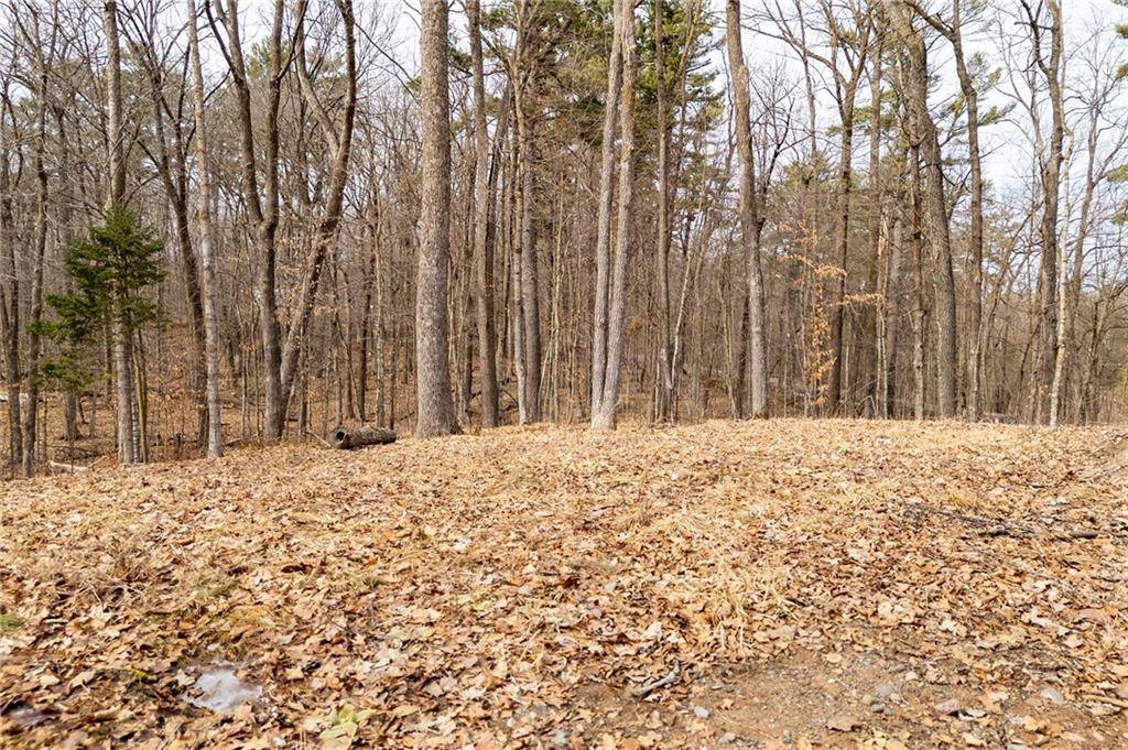 N3441 Blackhawk Road, Sarona, WI 54870