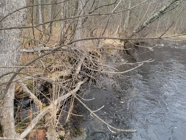 Winter, WI 54896,7213W Smith Road