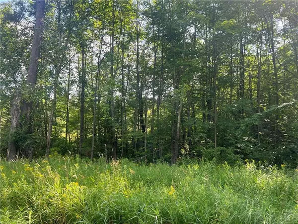 Winter, WI 54896,0 Lake Winter