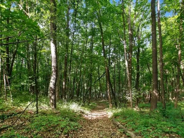 Lot 50 Preserve Dr, Elkhorn, WI 53121