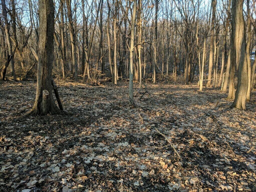 Lake Geneva, WI 53147,Lt6 Dodge St