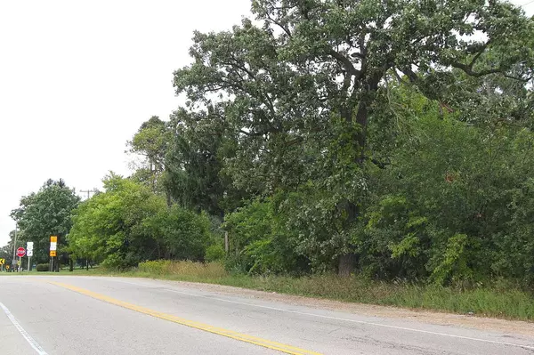 Elkhorn, WI 53121,Lt1 Highway 20