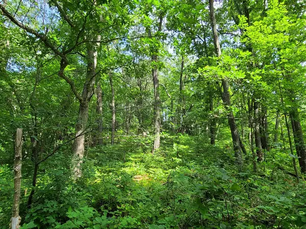 XX COUNTY HIGHWAY I, Sparta, WI 54656