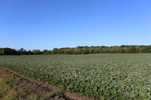 Bristol, WI 53104,Lt2 107th St