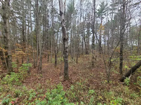 0 TIeman Ave, Thorp, WI 54771