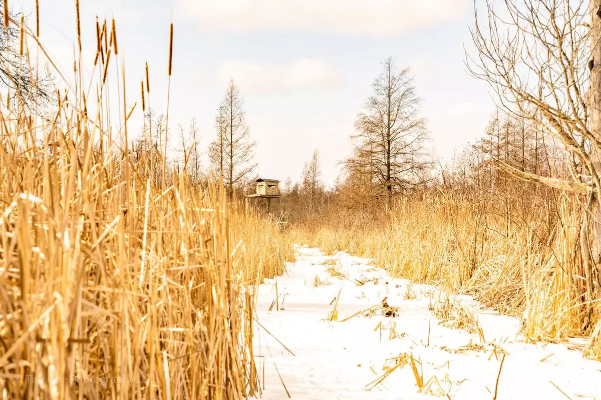 New London, WI 54961,Lt1 Weiland Rd