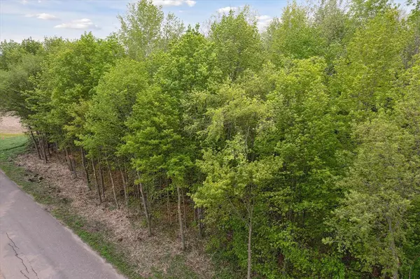 Marion, WI 54950,Lt2 GERBIG ROAD