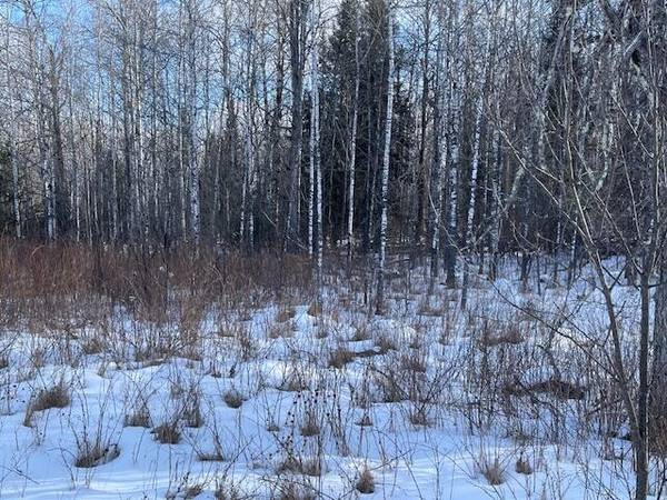 Lt44 BIG CUB TRAIL, Laona, WI 54541