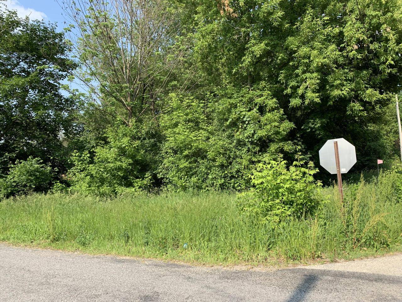 Lt1089 CEDAR ROAD, Genoa City, WI 53128
