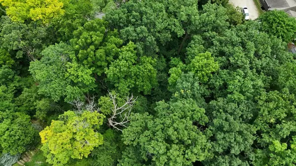 Waterford, WI 53185,Lt1 SCENERY DRIVE