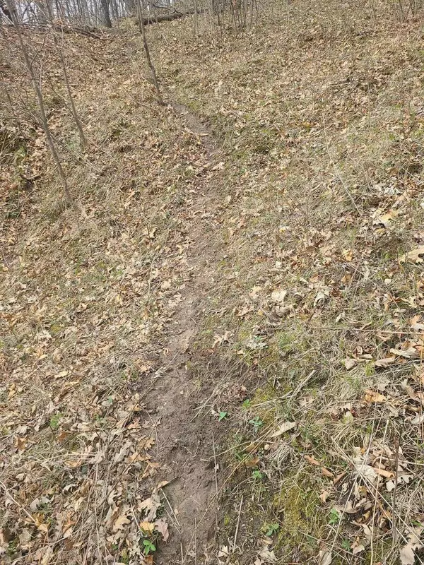 Gays Mills, WI 54631,48530 Enke Ln