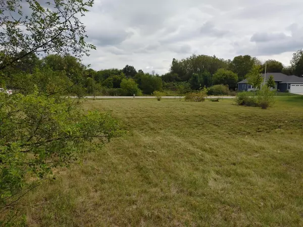 Twin Lakes, WI 53181,Lt58 MEADOW VIEW LANE