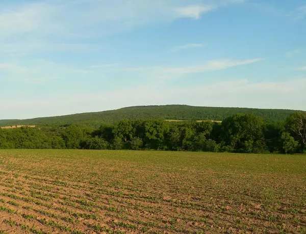 Barneveld, WI 53507,0 Ridgeview Rd