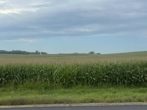 40 Acres Highway 60, Arlington, WI 53555