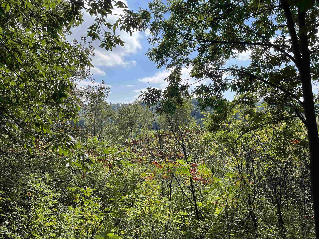 26392 Monarch Ave, Wilton, WI 54670