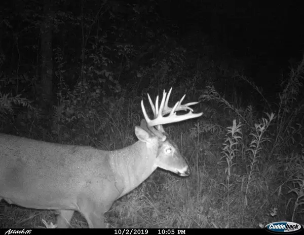 42384 County Road S, Gays Mills, WI 54631