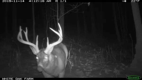 86 Ac County Road S, Gays Mills, WI 54631